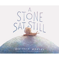 A Stone SAT Still
