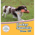 Cocker Spaniels Show Off