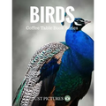 Birds: Coffee Table Book Series