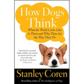 How Dogs Think: What the World Looks Like to Them and Why They Act the Way They Do