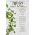 Medicinal Properties of Herbs and Plants