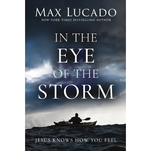 In the Eye of the Storm: Jesus Knows How You Feel