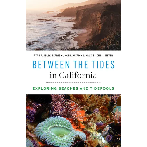 Between the Tides in California: Exploring Beaches and Tidepools