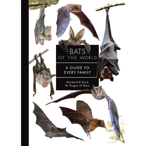 Bats of the World: A Guide to Every Family