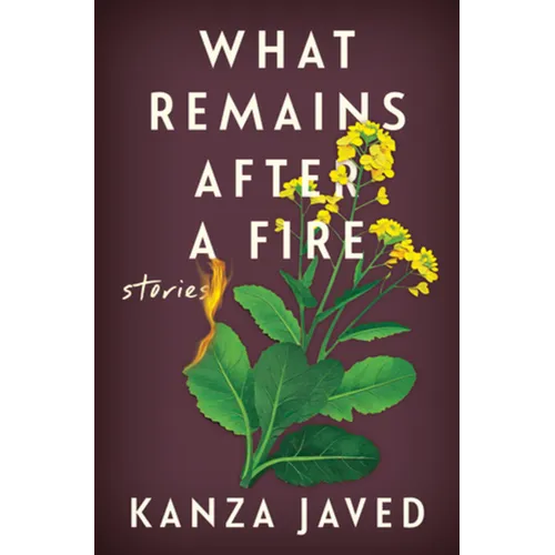 What Remains After a Fire: Stories