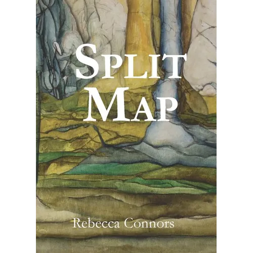 Split Map