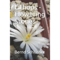 Lithops - Flowering Stones