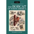 Bobcat of North America