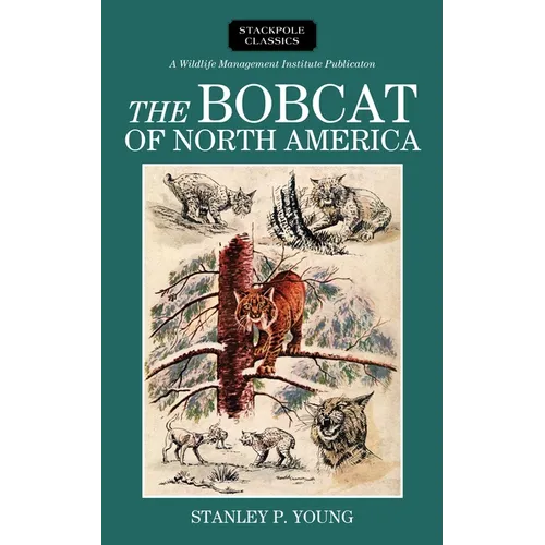 Bobcat of North America