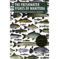 Freshwater Fishes of Manitoba