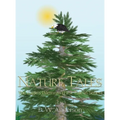 Nature Tales: The Eagle's Dilemma (First Tale in Series)
