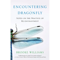 Encountering Dragonfly: Notes on the Practice of Re-Enchantment