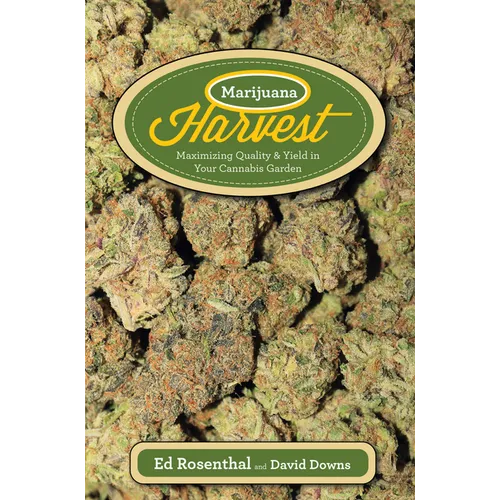 Marijuana Harvest: How to Maximize Quality and Yield in Your Cannabis Garden