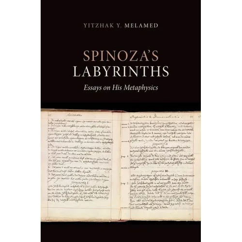 Spinoza's Labyrinths: Essays on His Metaphysics