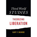 Third World Studies: Theorizing Liberation