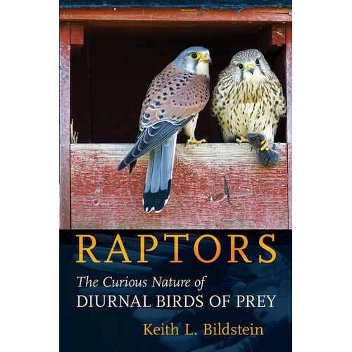 Raptors: The Curious Nature of Diurnal Birds of Prey