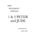 1 & 2 Peter and Jude: A Critical & Exegetical Commentary