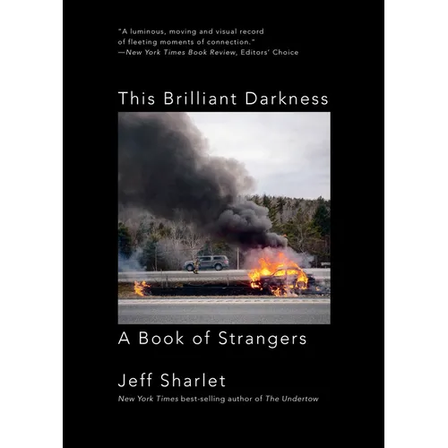 This Brilliant Darkness: A Book of Strangers