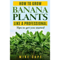 How to grow Banana Plants like a Professional: Beginner's guide and tips to get you started