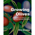 Growing Olives: Information On Setting Up Your Own Olive Growing Enterprise