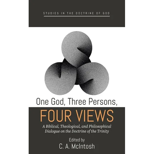 One God, Three Persons, Four Views: A Biblical, Theological, and Philosophical Dialogue on the Doctrine of the Trinity