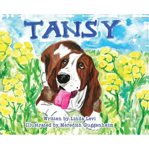 Tansy