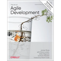 The Art of Agile Development