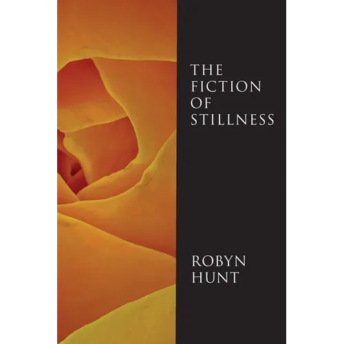 The Fiction of Stillness
