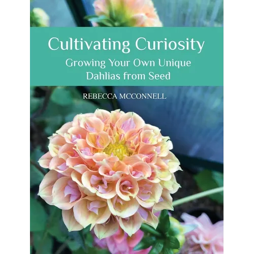 Cultivating Curiosity: Growing Your Own Unique Dahlias from Seed