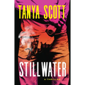 Stillwater: A Luke Harris Thriller