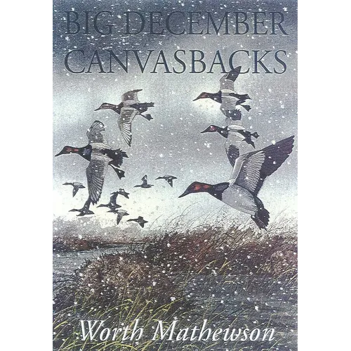 Big December Canvasbacks, Revised