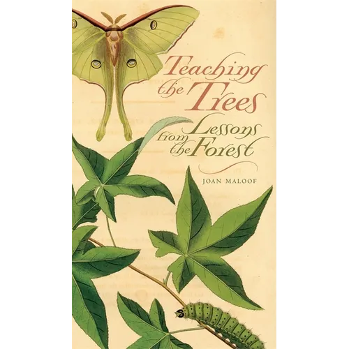 Teaching the Trees: Lessons from the Forest