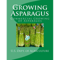 Growing Asparagus: Commercial Growing of Asparagus