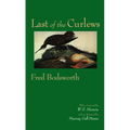Last of the Curlews