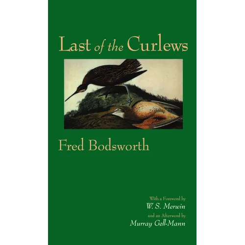 Last of the Curlews