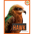 Hawk