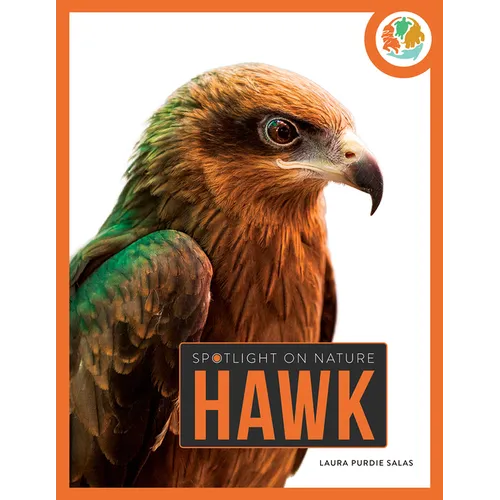 Hawk