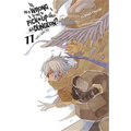 Is It Wrong to Try to Pick Up Girls in a Dungeon?, Vol. 11 (Light Novel)