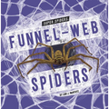 Funnel-Web Spiders