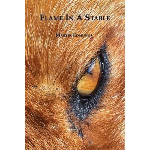 Flame in a Stable