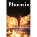 Phoenix: The Crash, Burn, & Rise