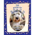 The Book of Brock