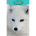 Arctic Foxes