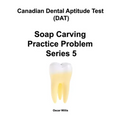 Canadian Dental Aptitude Test (DAT) Soap Carving Practice Problem Series 5