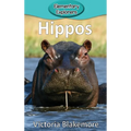 Hippos