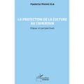 La protection de la culture au Cameroun: Enjeux et perspectives