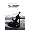 Plasticity: The Promise of Explosion
