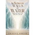 In Between Walls Of Water