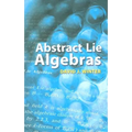 Abstract Lie Algebras