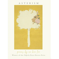 Asterism